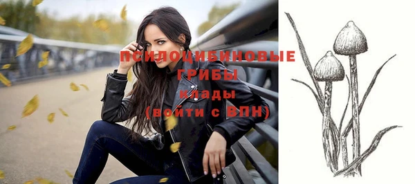 молекула духа Волоколамск