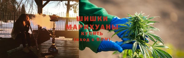 тгк Володарск
