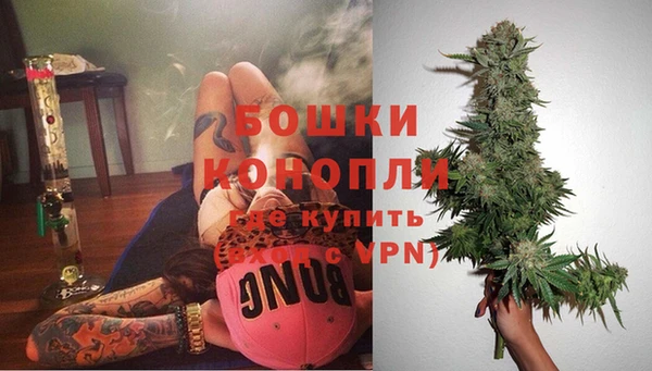 молекула духа Волоколамск