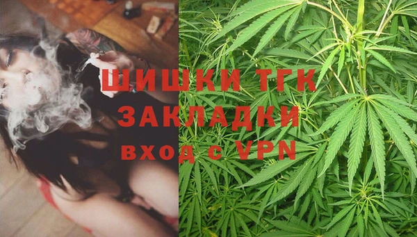 тгк Володарск
