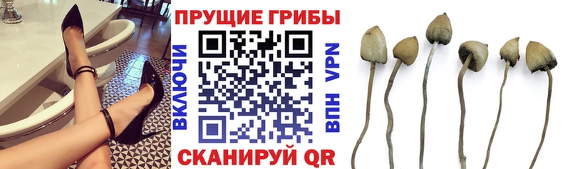 Галлюциногенные грибы мухоморы  где купить наркотик  Камень-на-Оби 